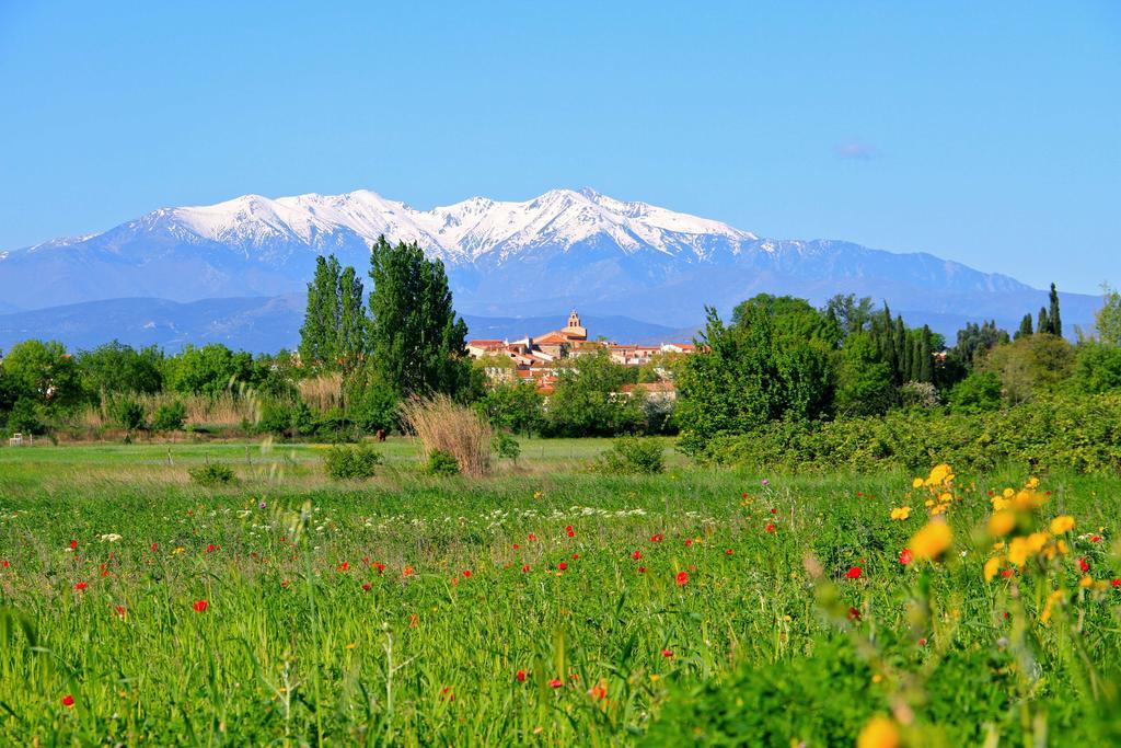 Premiere Classe Perpignan Nord - Aeroport ริฟซาลท์ส์ ภายนอก รูปภาพ